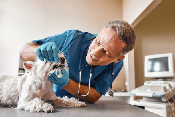 Best Emergency Tooth Extraction in Munford, TN